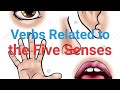 Understanding Stative and Dynamic Verbs