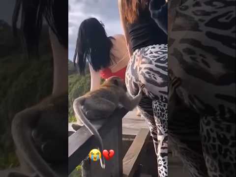 Banned Moments Because Theyโre Too Funny #funny #comedy