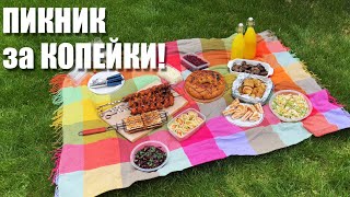 Еда на ПИКНИК за КОПЕЙКИ: от шашлыка до напитков