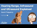 Sound Frequencies and Human Hearing