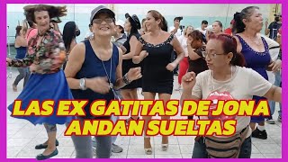¡OMG! 😲 Resulta que las ex gatitas 😻 de jona se desataron por falta de mantenimiento 😂