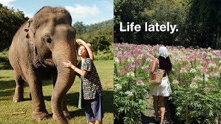 Living alone • life after graduation, trying new things, 48 hours in Thailand