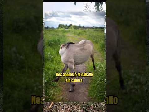 Nos apareció el caballo sin cabeza😱 #youtubeshorts #shorts