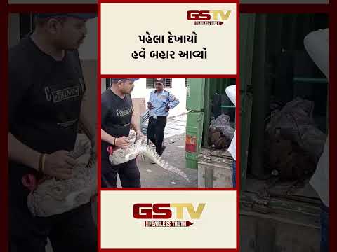 પહેલા દેખાયો હવે બહાર આવ્યો