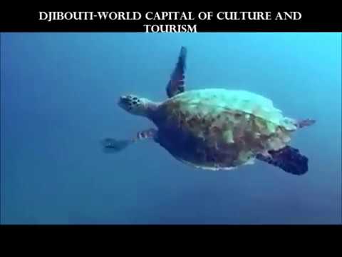 DJIBOUTI IS THE WORLD CAPITAL OF CULTURE AND TOURISM