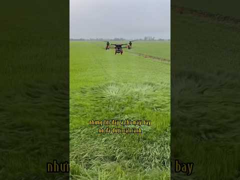 Sập lúa, thuốc bay đi hết khi xịt bằng máy bay nông nghiệp #maybaynongnghiep #maybayphunthuoc