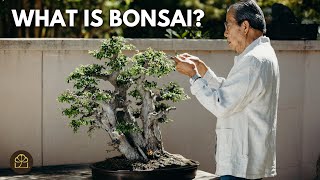 Bonsai 101 - Chapter 2: The Meaning of Bonsai: Past, Present, and Future