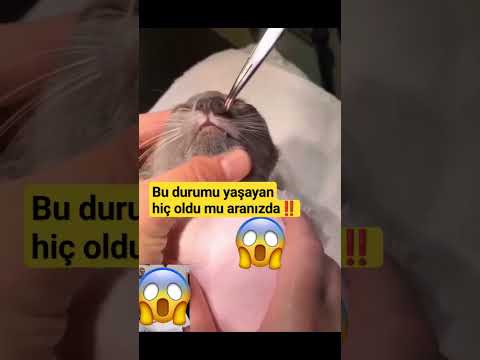 Bu durumu yaşayan hiç oldu mu aranızda‼️ #shortvideo