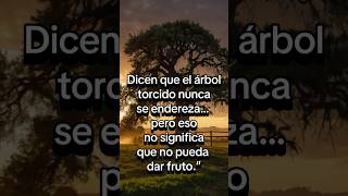 #dios #frases #palabradios #motivacion #reflexionesdeldia