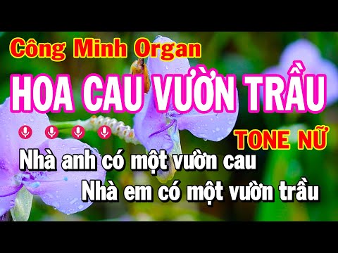 Hao Cau Vườn Trầu Tone Nữ ( Em ) Karaoke Nhạc Sống