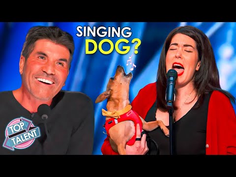 Dogs That Can SING!? 🤯 The SMARTEST Dog Acts EVER!