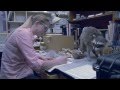 Museum Studies and Career Reflections