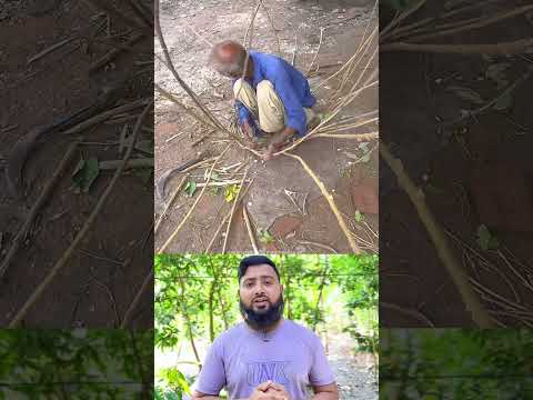 #everyone #youtubeshorts