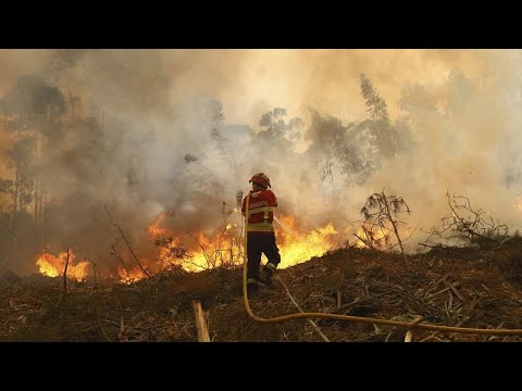YouTube video thumbnail: Morocco Sends Two Canadair Planes to Battle Wildfires in Portugal