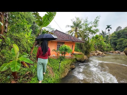 SUASANA SORE YANG TENANG, TURUN HUJAN DAN KABUT DI KAMPUNG NAMBAH BETAH, PEDESAAN SUNDA JAWA BARAT