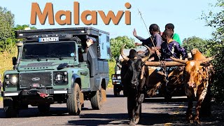 Lost in Malawi.  Ep314