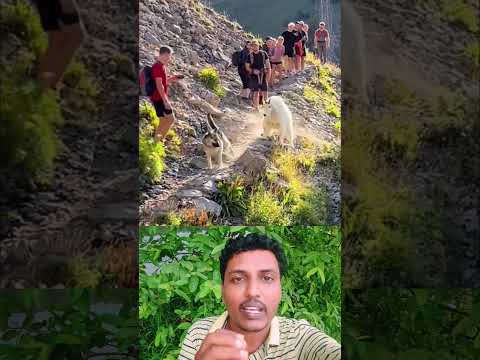 Pahari Chagol #funny #interestingclips #comedyfilms #comedy #comedymove #comedymovies #automobile