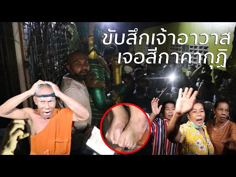 ขับสึกแพะเจอสีกาคากุฏิ พระนัดสีกาเข้ากุฏิ2ต่อ2นานหลายชั่วโมง