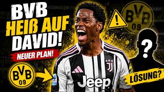 BVB plant den nächsten Coup – jetzt wird es richtig spannend!