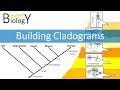 Cladograms and Evolutionary Relationships