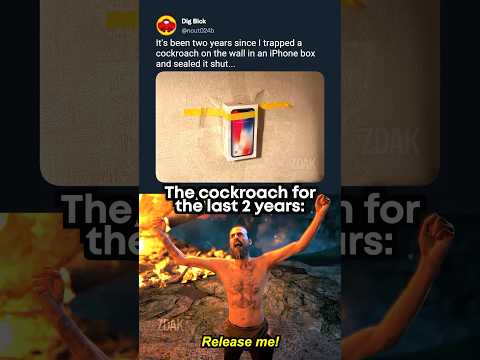 #zarooratrishta 🪳