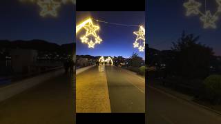 Liqeni i Tiranës 🤩