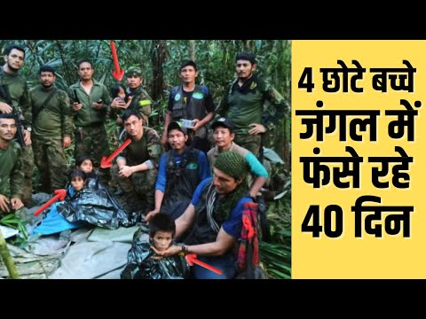 माँ का बलिदान : खुद मर गयी, पर बच्चों को बचा गयी। Amazon Forest Crash REAL Story #fact #amazingfacts