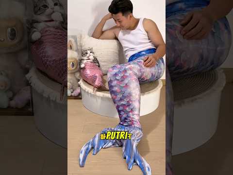 persahabatan kucing dan manusia 😹