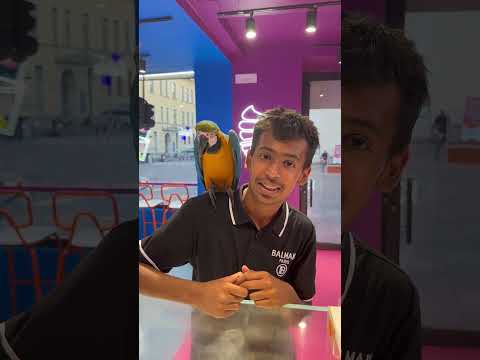 Crepes per il pappagallo 🦜