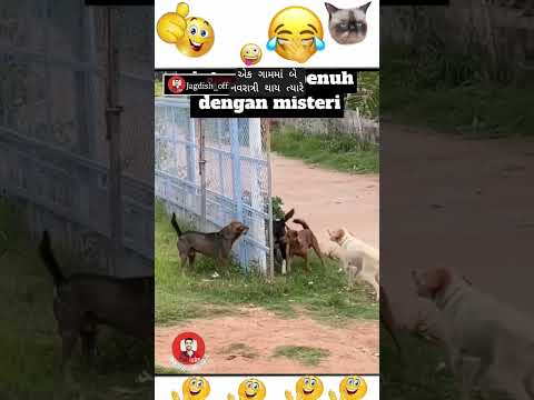 એક ગામમાં બે નવરાત્રી થાય ત્યારે