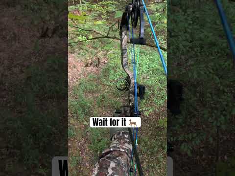 Video YOUR hunts just like this ๐๐ป#bowhunter #gopro12 #bowhunting
