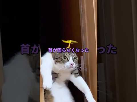 じいちゃんと俺の秘密とは…