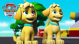 Mighty Twins! - PAW Patrol Episode - Cartoons for Kids
