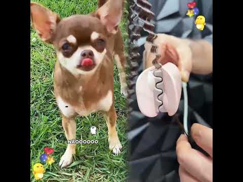 #comedy#short#shortvideo#storytime#satisfying