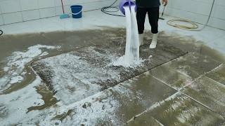 DIRTY Carpet That Hasn’t Been Cleaned in YEARS – Extreme ASMR Cleaning Begins!