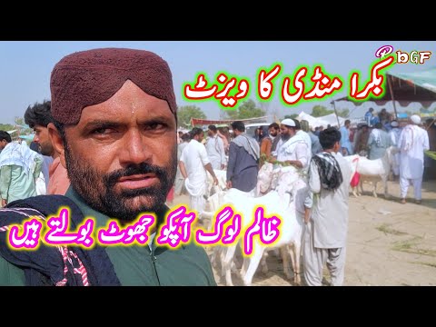 مکمل ویزٹ بکرا منڈی ڈیرہ غازی خان قربانی 2026 کے بکرے اصل ریٹ ویڈیو دیکھیں