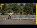 Empathy and Shopping Carts