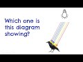 Exploring Light Waves: Key Concepts and Applications