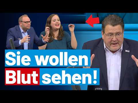 Verbotsantrag zur AfD eskaliert! Stephan Brandner auf 180! AfD-Fraktion im Bundestag