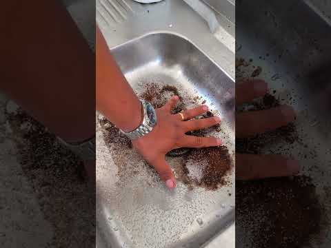 você briga muito? filhos rebeldes ?