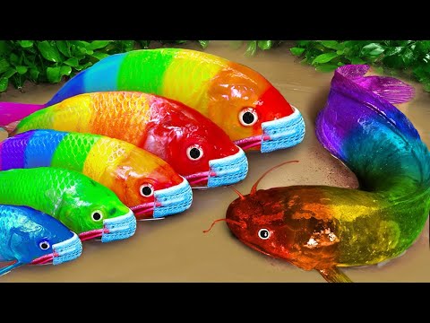 Satisfying Catch Mini Colorful Aquarium Fish In Surprise Egg Toys, Rainbow Fsh, Guppy, Betta Fish