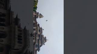 JAIPUR TRIP BY ROAD 🛣️ (SWIMMING POOL) (FORTS) (TEMPLE) #shorts #love #trip #temple #food #bhajan