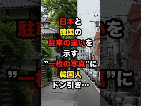 日本と韓国の駐車の違いを示す“一枚の写真”に韓国人ドン引き…