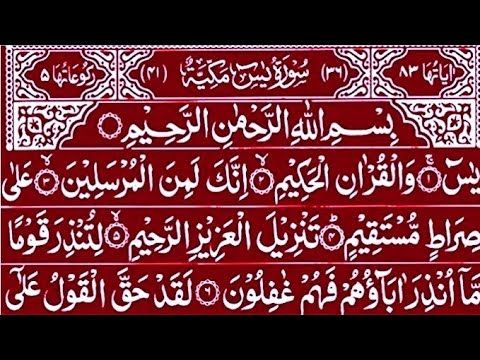 Surah Yaseen Surah Rahman | Best Qur'an Recitation | Yaseen Sharif Tilawat | Surah Yasin full