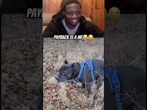Payback is a mf😂😂 #fyp #viral