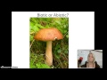 Exploring Population Limiting Factors