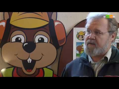 549 - Eichhörnchen "Stromer" führt mit Spaß zum Thema Wald