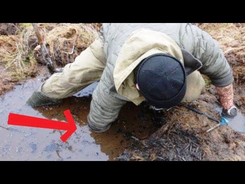 Нереальный ПОИСК ЗОЛОТА на Слитых СТАВКАХ в БОЛОТЕ, Экстремальный КОП!!!