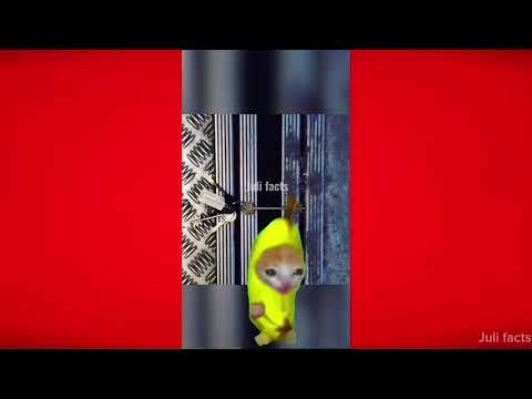 Тебе врали про хруст пальцами