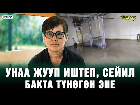 Унаа жууп иштеп, сейил бакта түнөгөн үйсүз эне